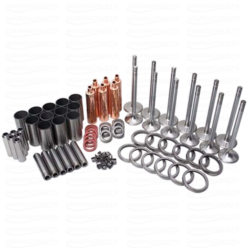 Overhaul Kit Cylinder Head for Volvo Penta TAMD122P Diesel Engines SLP