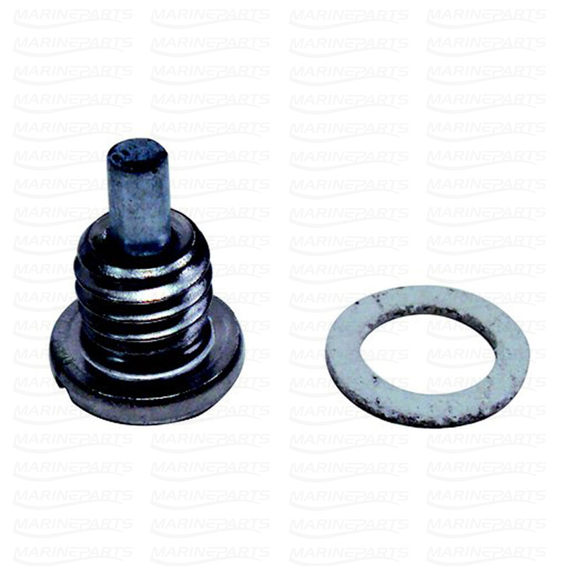 Oil plug & gasket