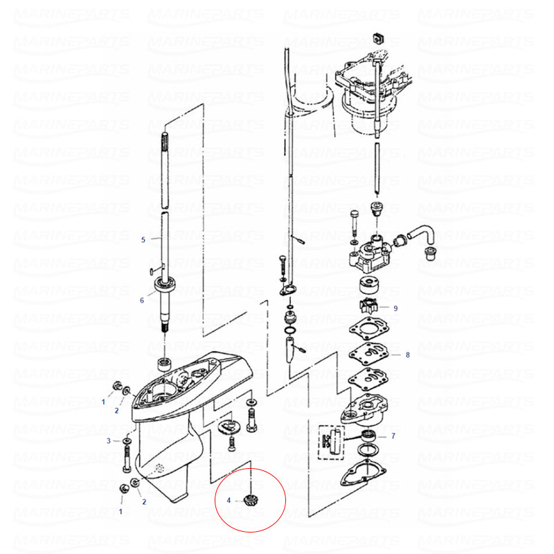 Forward gear Mercury/Mariner/Tohatsu 2.5-6 hp