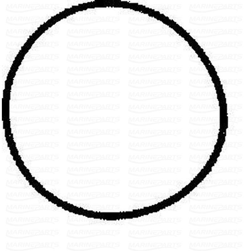 O-ring