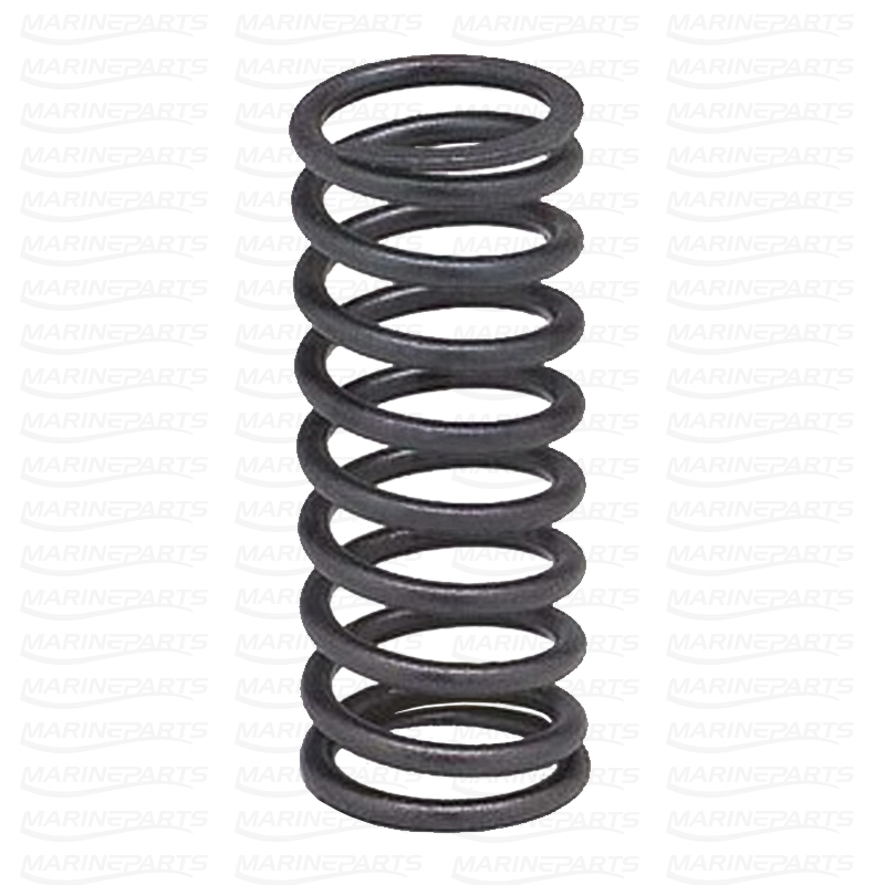 Valve Spring