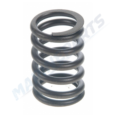 Exhaust Spring Ford 302/351